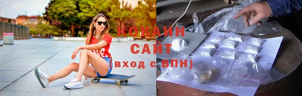 прущие грибы Мегион