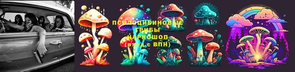 прущие грибы Мегион