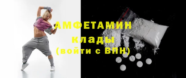 прущие грибы Мегион