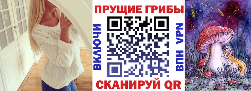 Псилоцибиновые грибы прущие грибы  Купить где  Иннополис 